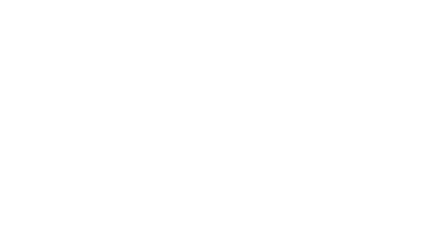 BTS Store Logo